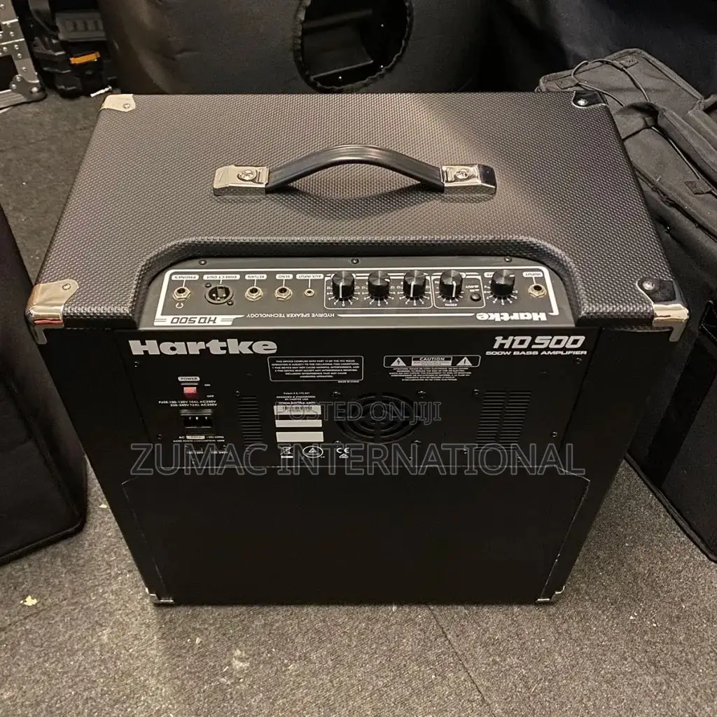 2 in 1 Bass Combo