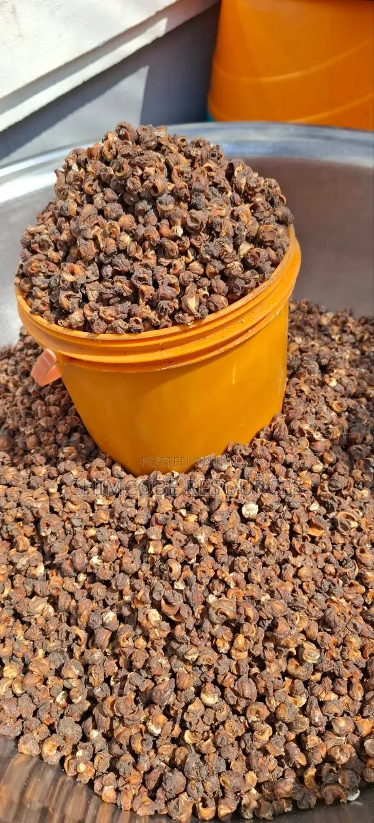 Dehydrated Whelks