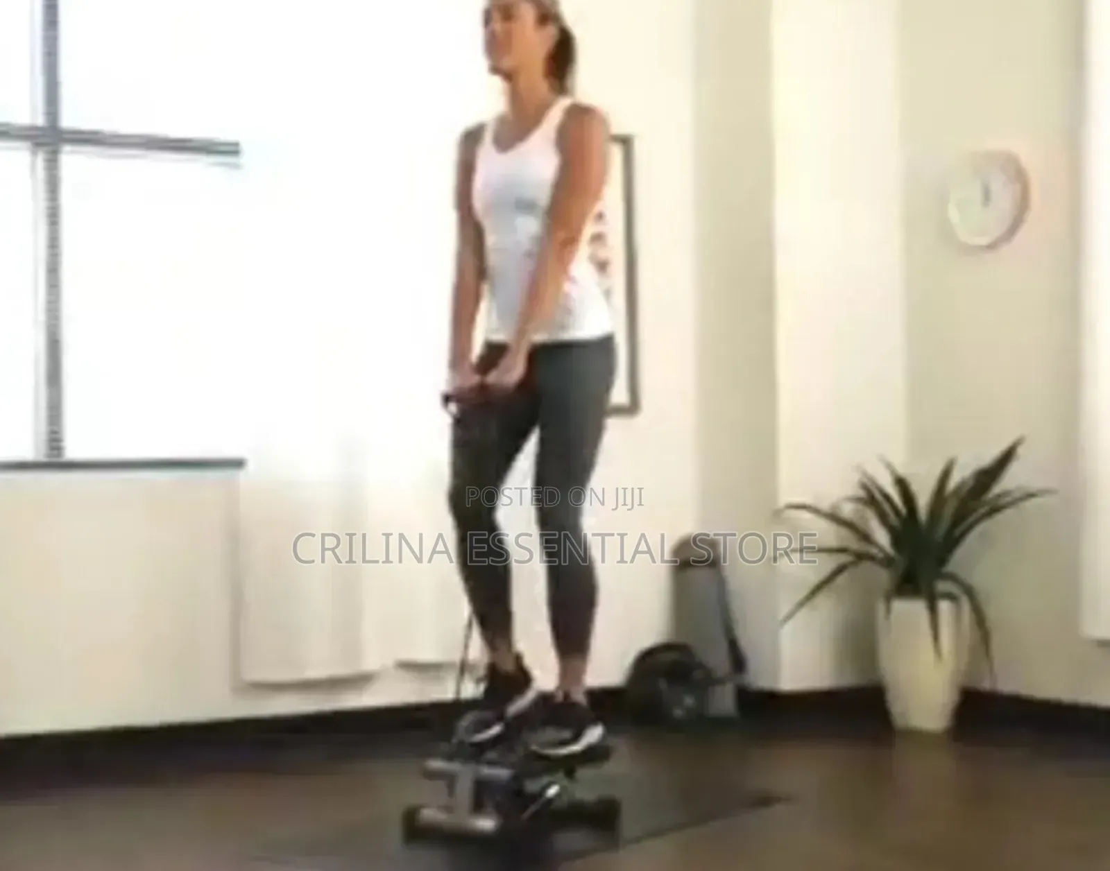 Mini Stepper Exercise Machine