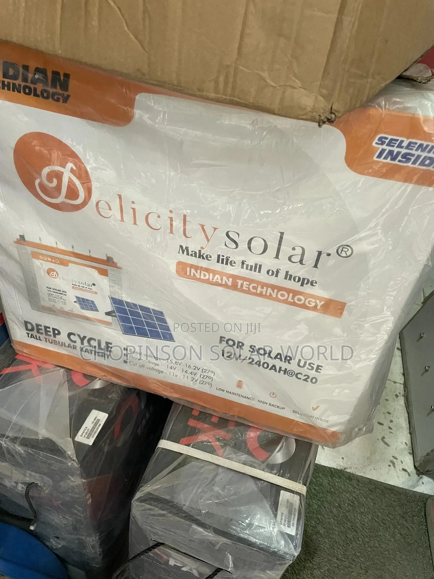 Solar Energy Delicity Tall Tubular Battery 220a/12votts