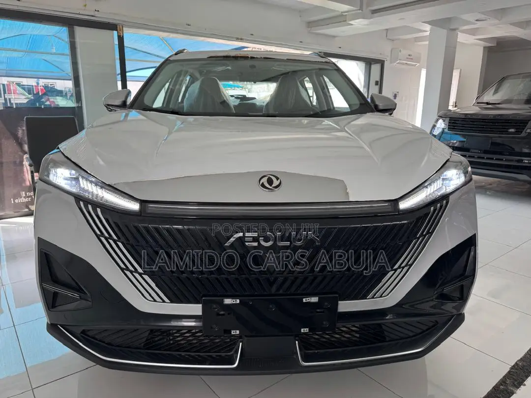 Dongfeng Rich 7 2025 White