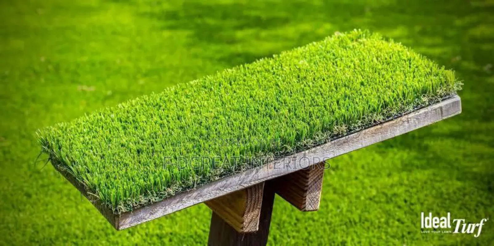 Carpet Grass Quality Standard
