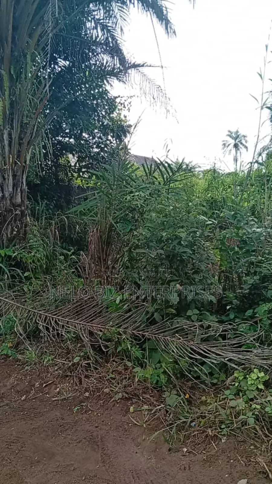 A Plot 100/50 
For Sale