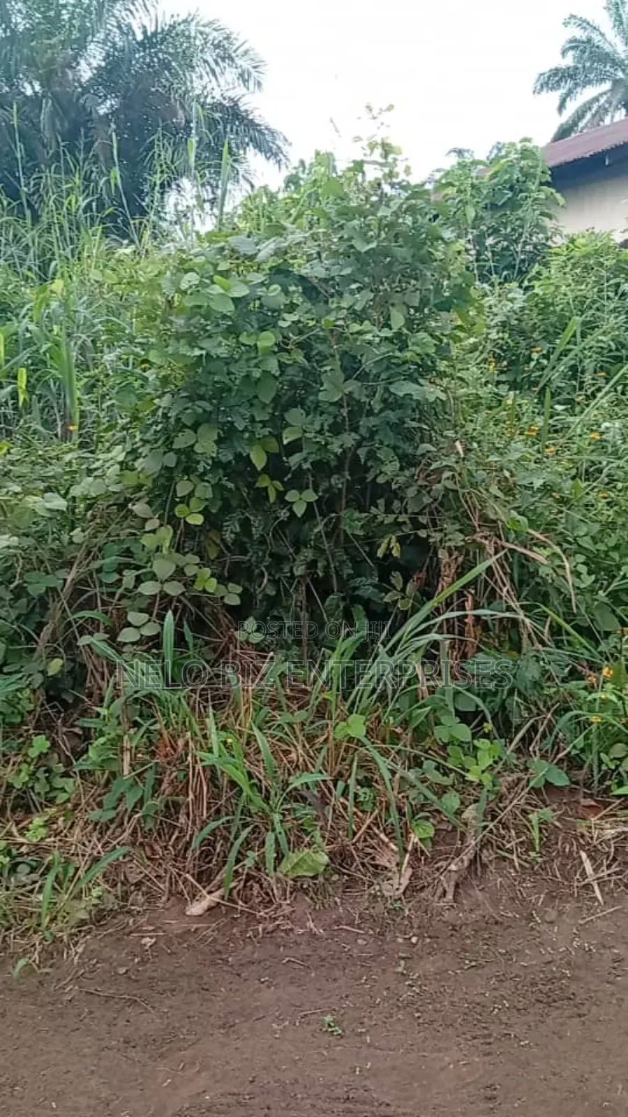 A Plot 100/50 
For Sale