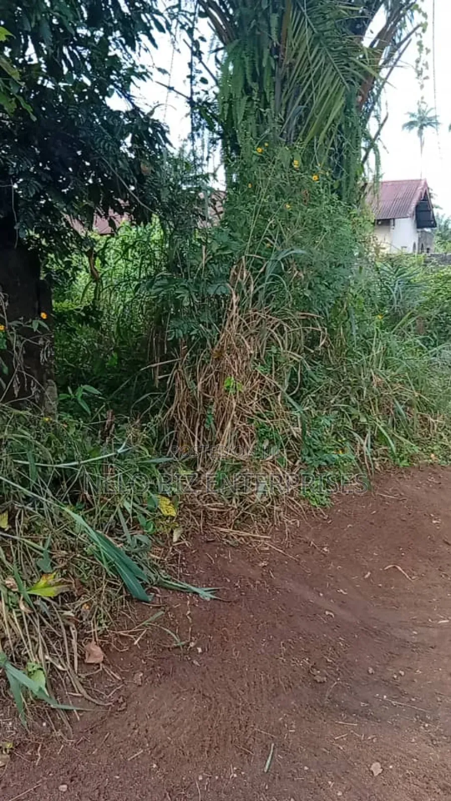 A Plot 100/50 
For Sale