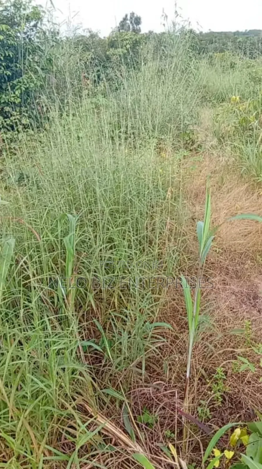 2 Plots Of Land For Sale