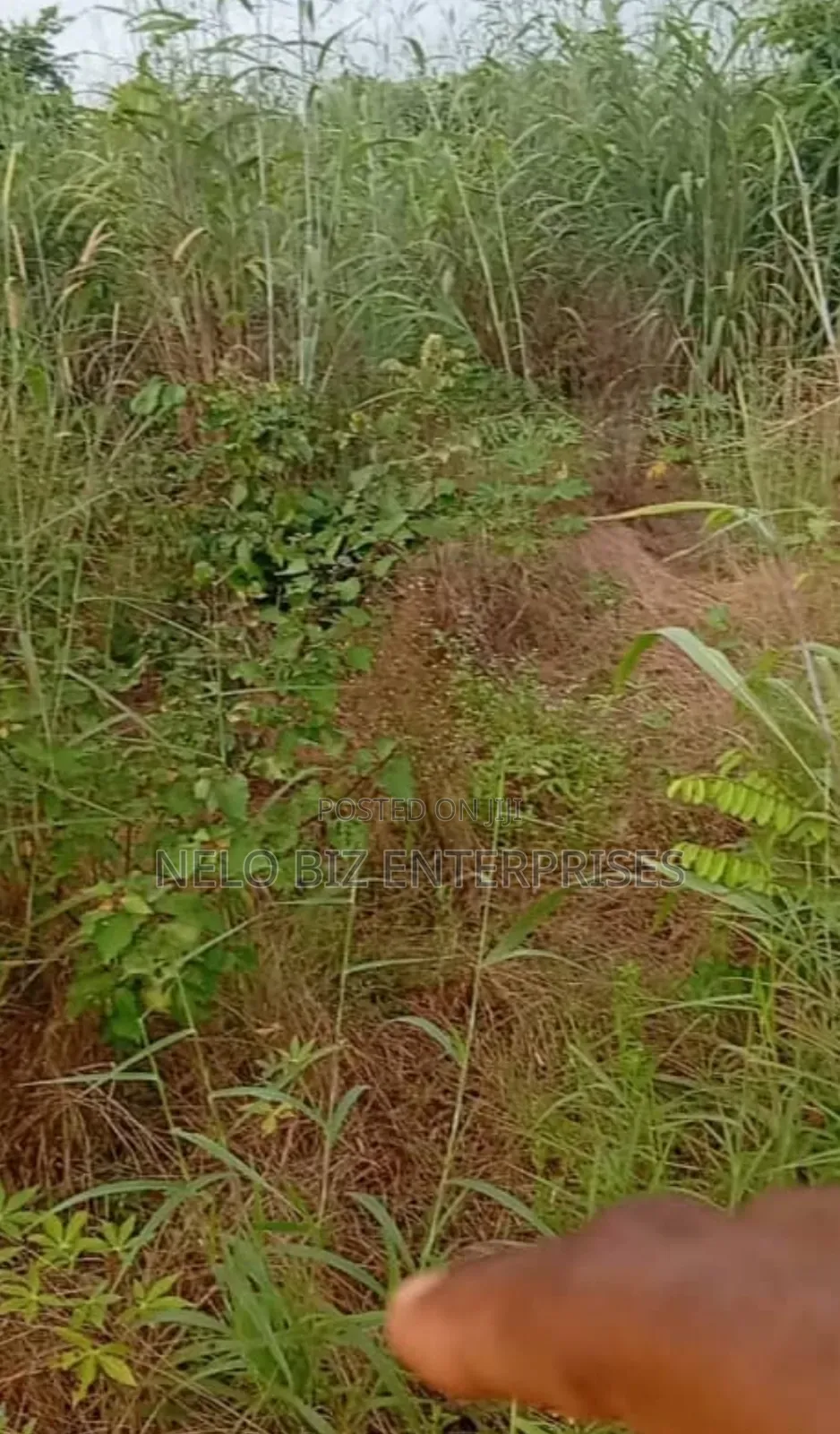2 Plots Of Land For Sale