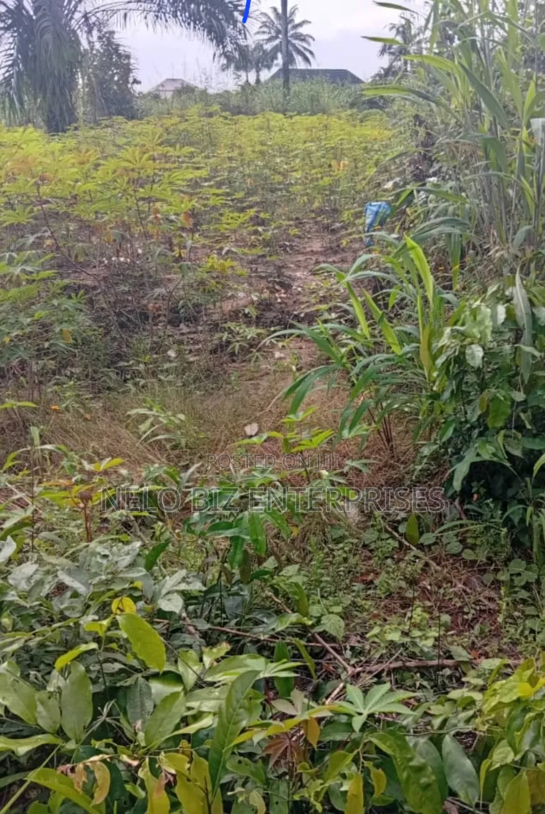 2 Plots Of Land For Sale