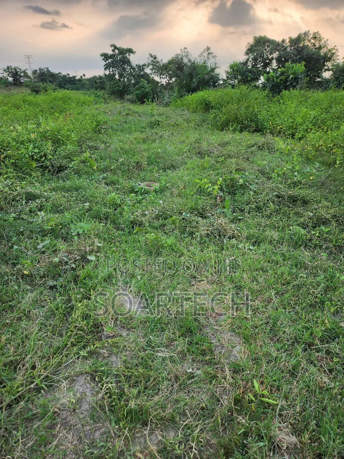 Fencing of Land With Chain Link for 100 Acers of Land at Ogun State