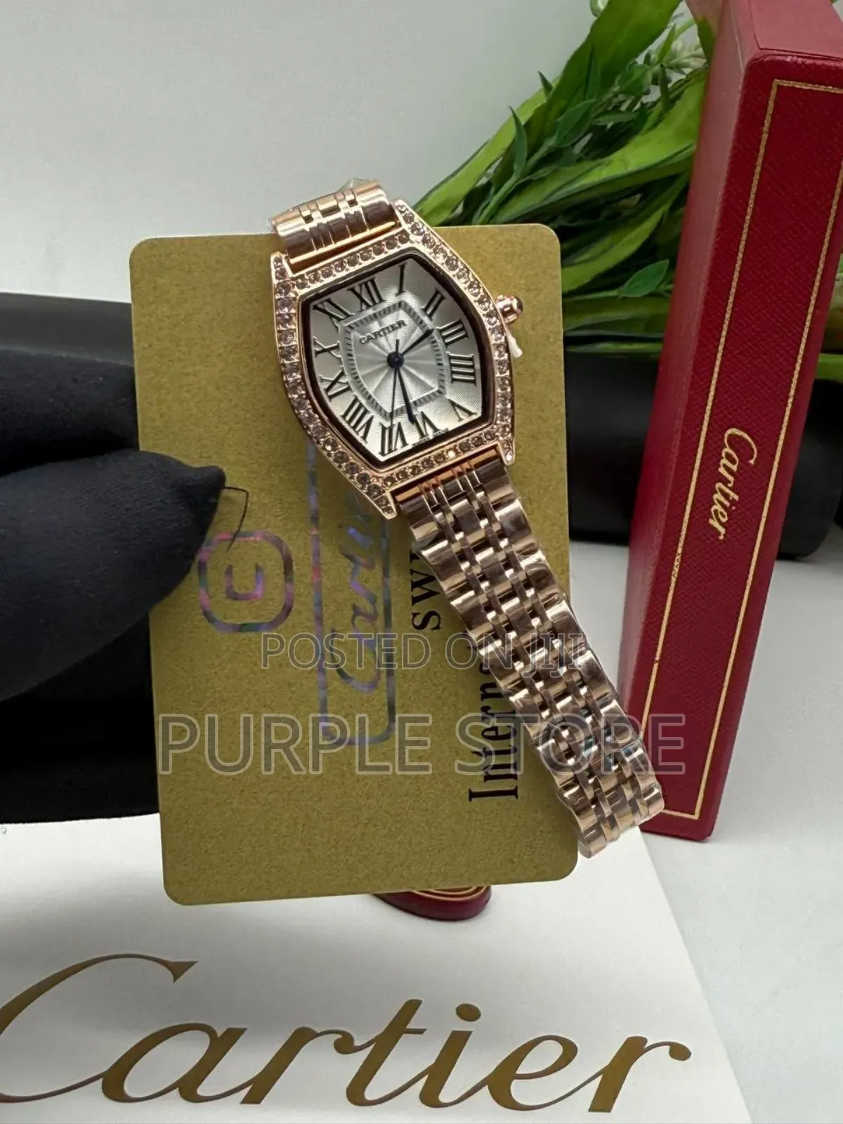 Carier Non Tarnish Quality Steel Watch for Ladies