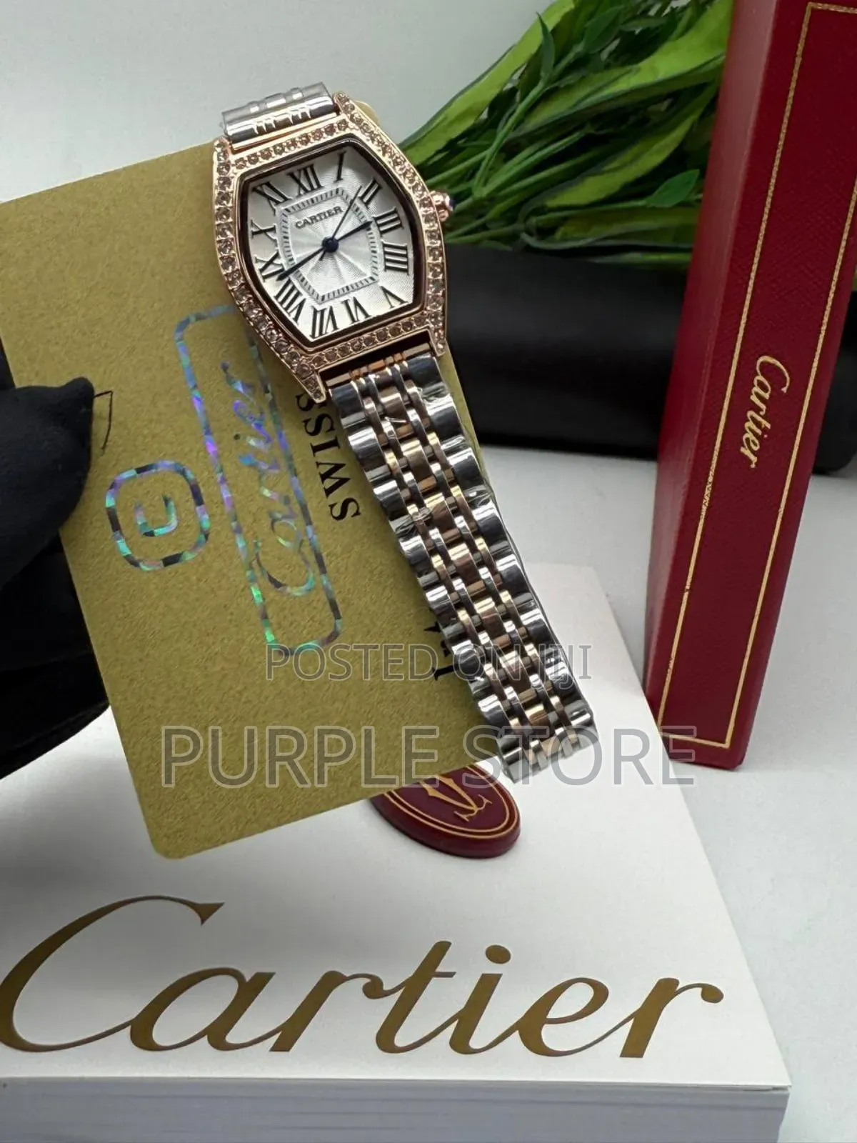 Carier Non Tarnish Quality Steel Watch for Ladies