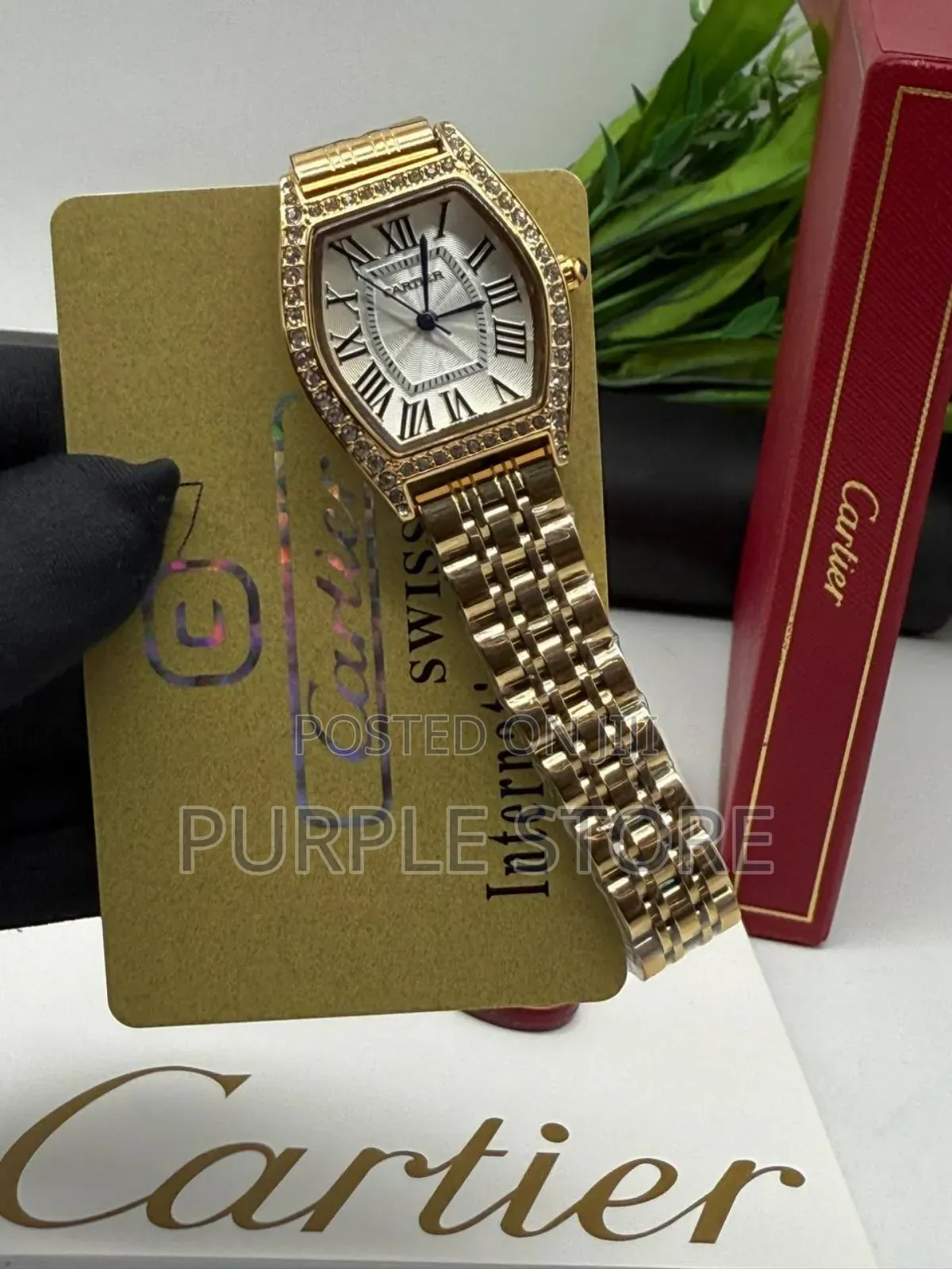 Carier Non Tarnish Quality Steel Watch for Ladies