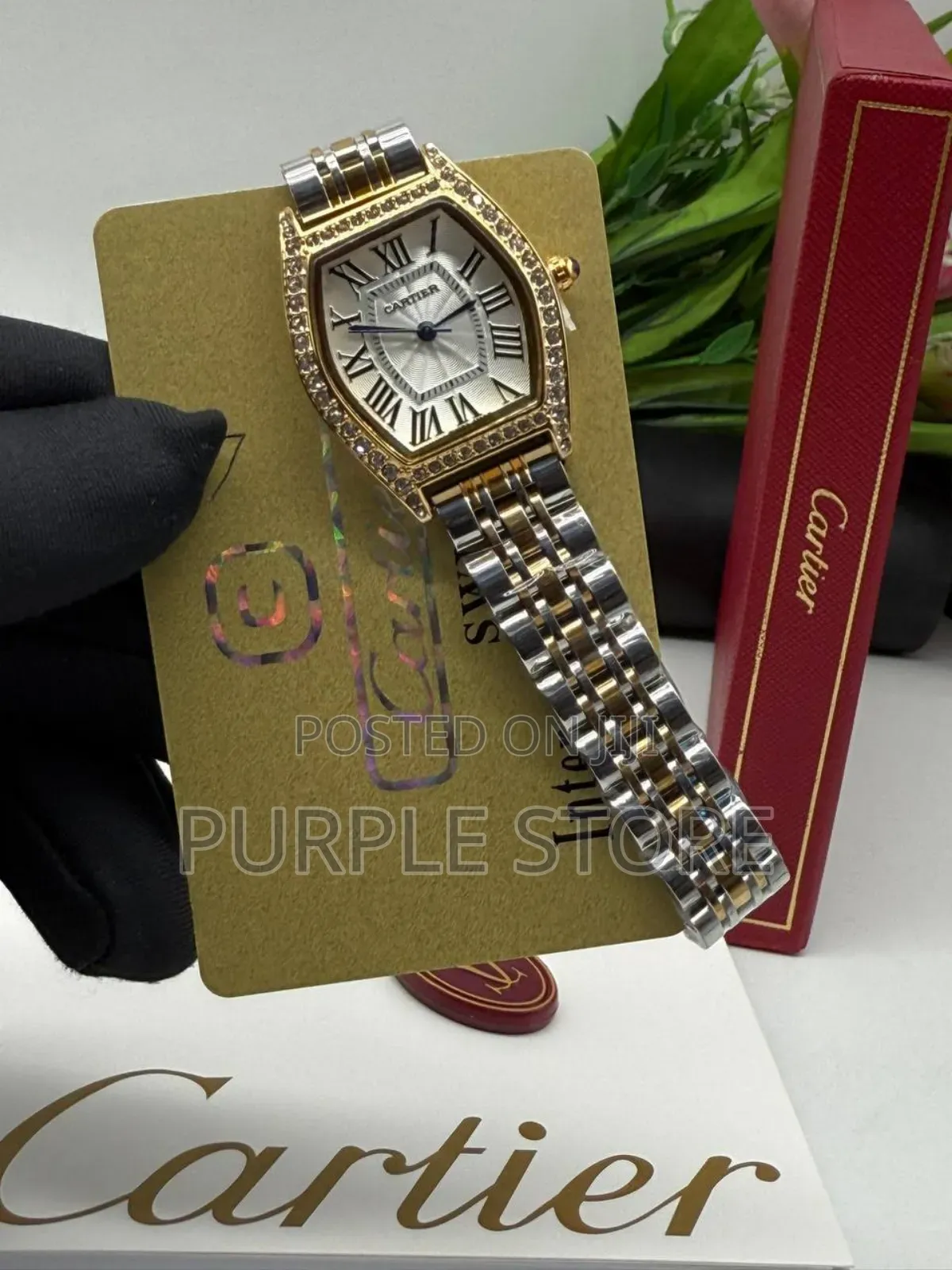 Carier Non Tarnish Quality Steel Watch for Ladies