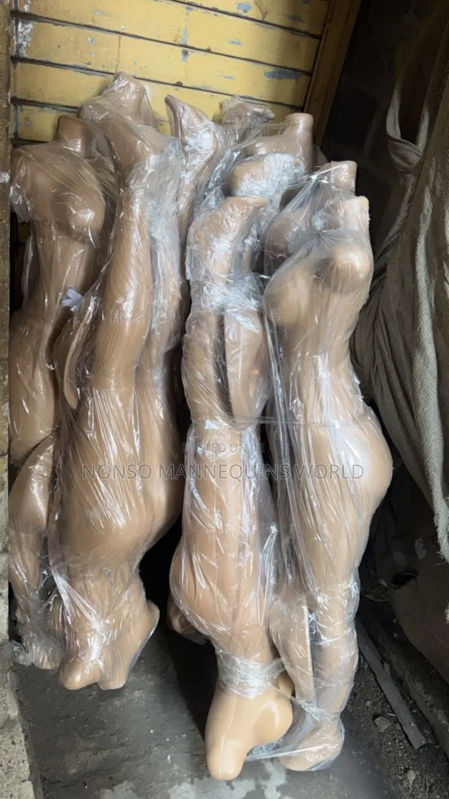 Female Size 10 Plastic Armless Display Mannequin