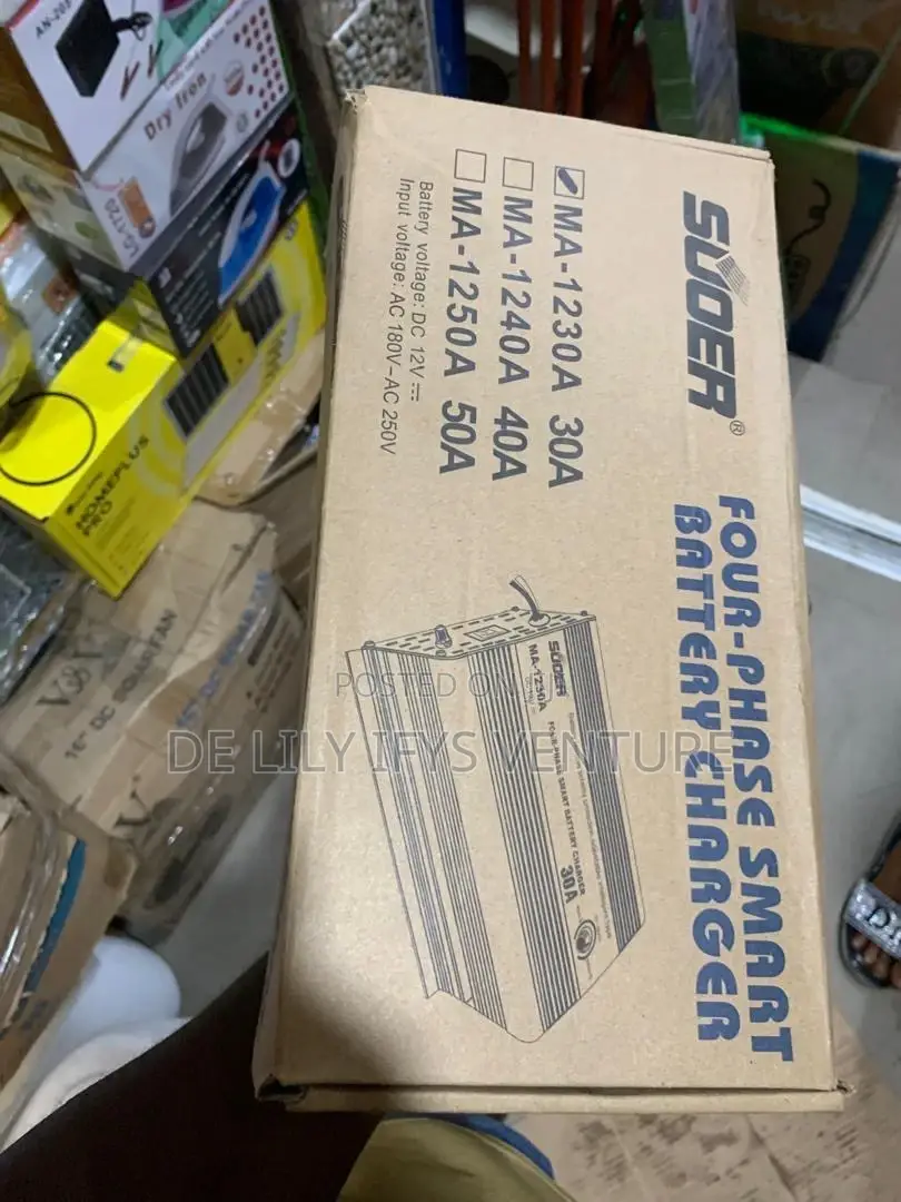 Four-Phase Smart Battery Charger 30a