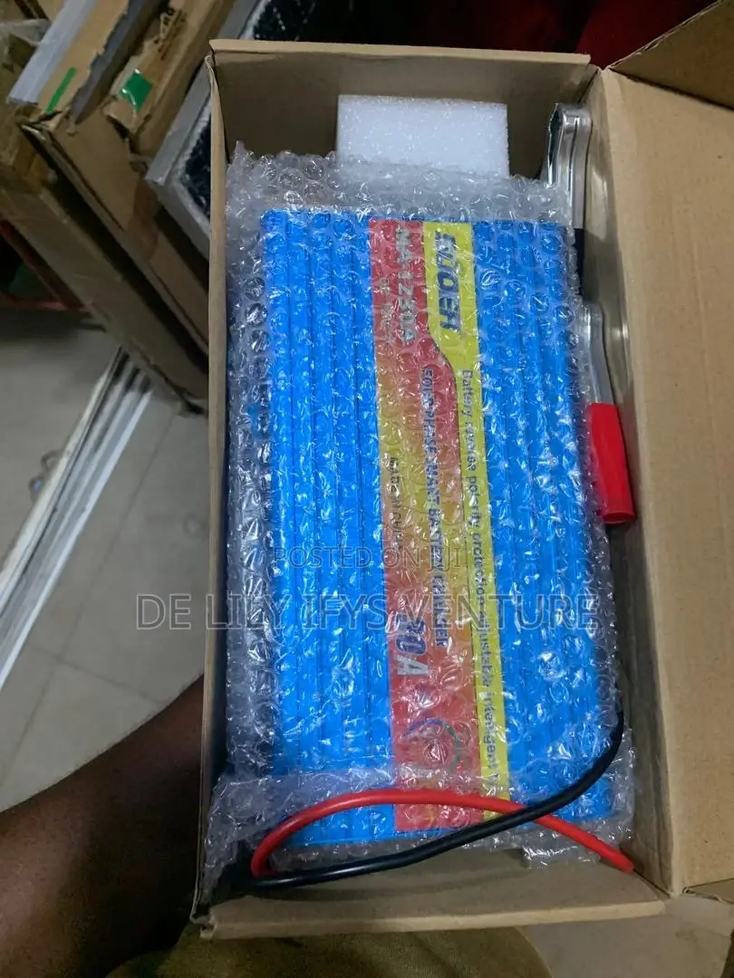 Four-Phase Smart Battery Charger 30a
