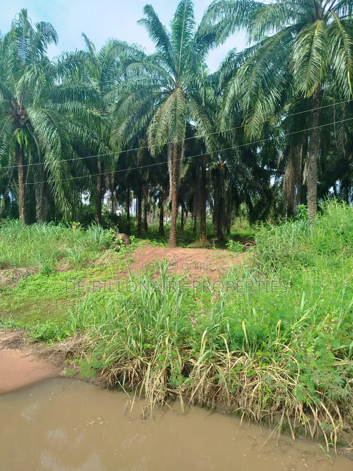 One Standard Plot of Land for Sale at Avu Owerri.