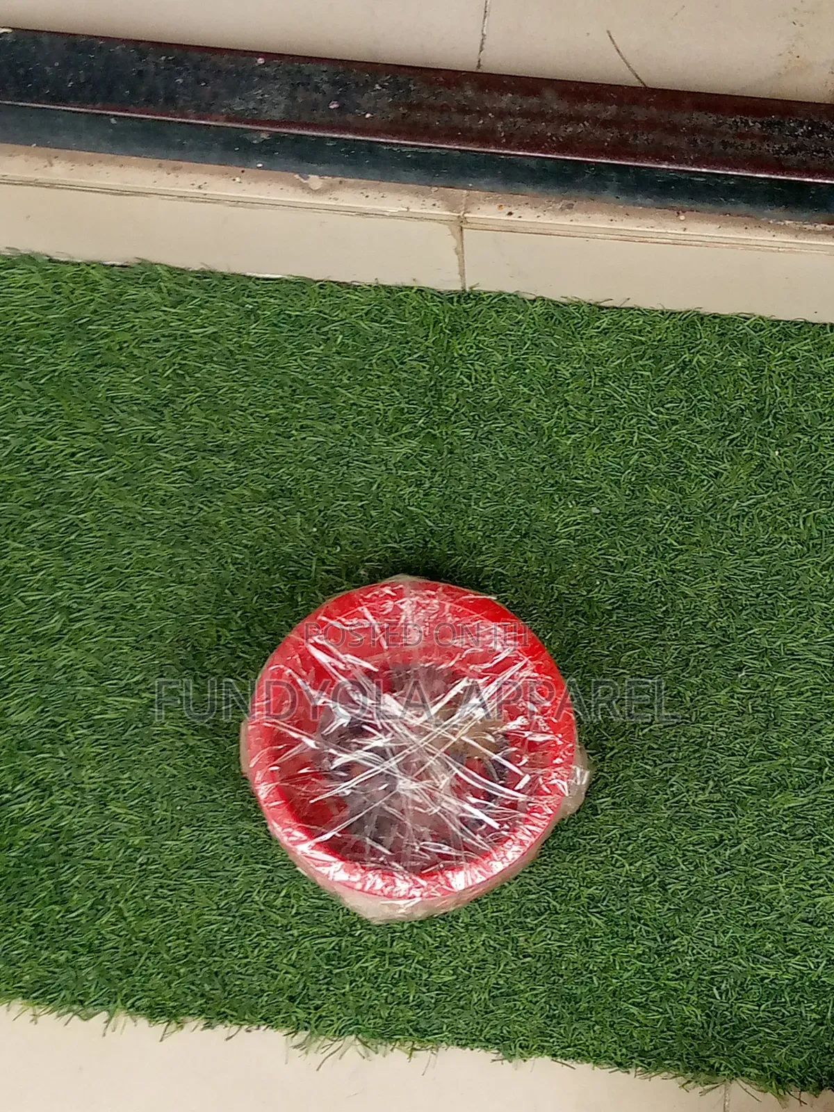 Kids Plate
