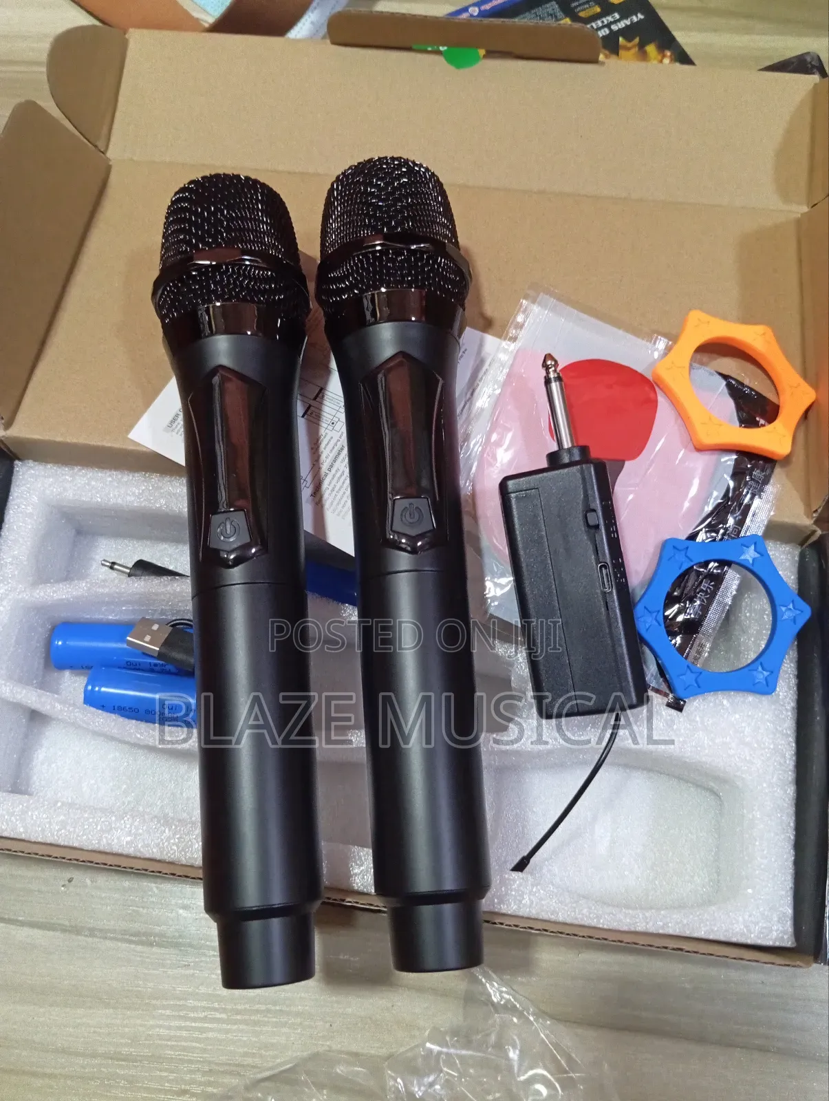 Professional Wireless Microphone