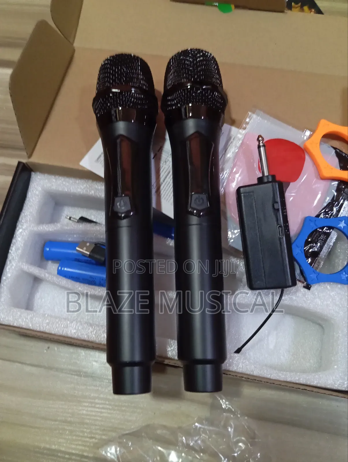 Professional Wireless Microphone