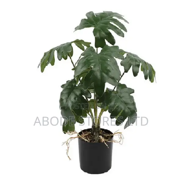 Artificial Monstera Plant - 35cm - Black Pot