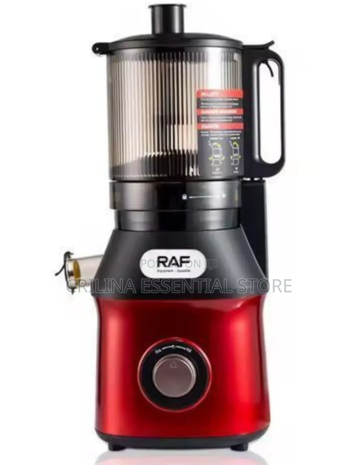 Raf Powerful 300w Multifunction Industrial Slow Juicer