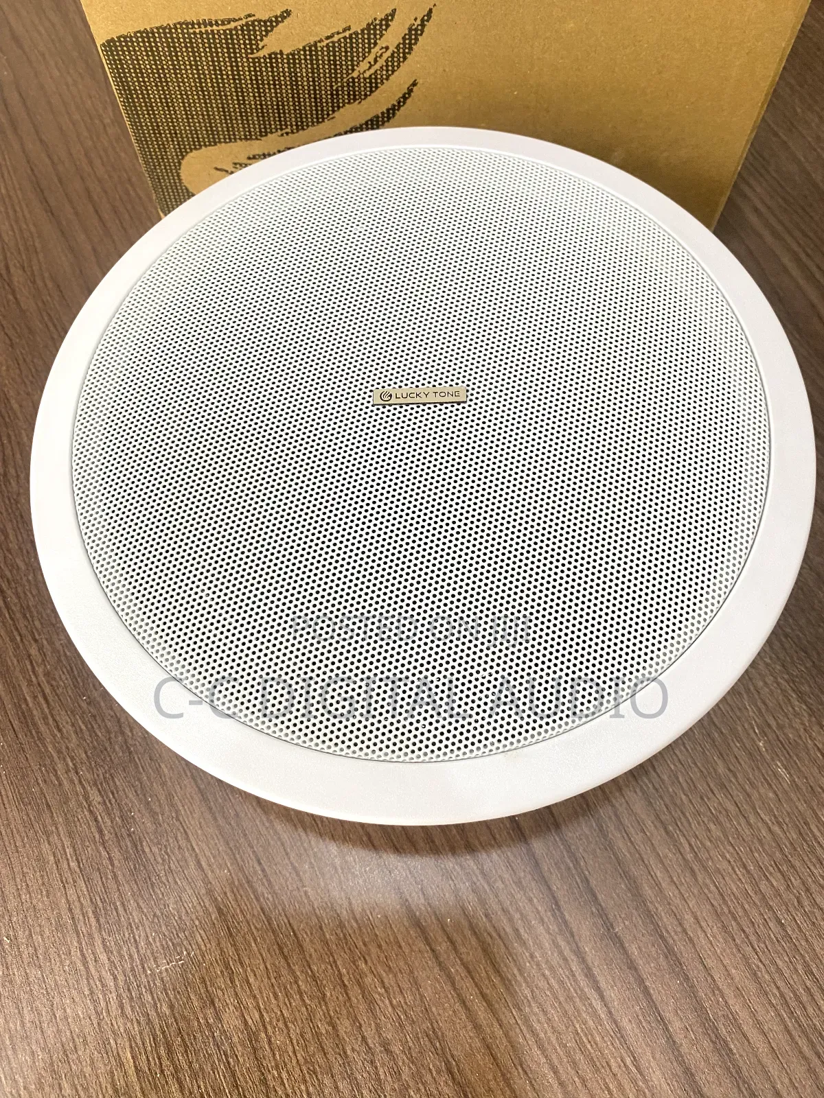Lucky Tone Passive Ceiling Speaker