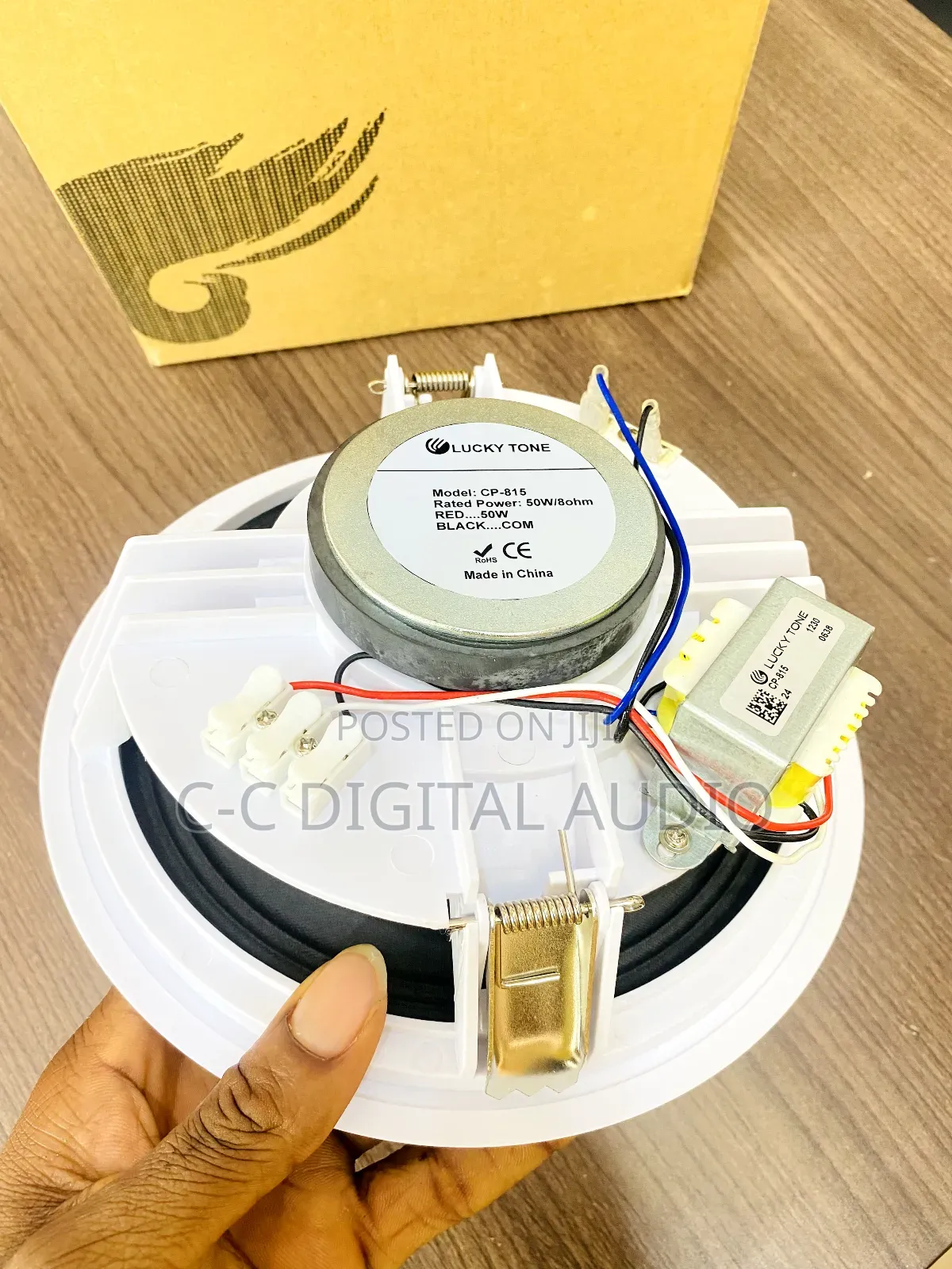 Lucky Tone Passive Ceiling Speaker