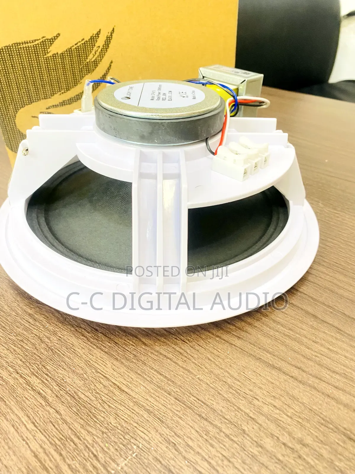 Lucky Tone Passive Ceiling Speaker