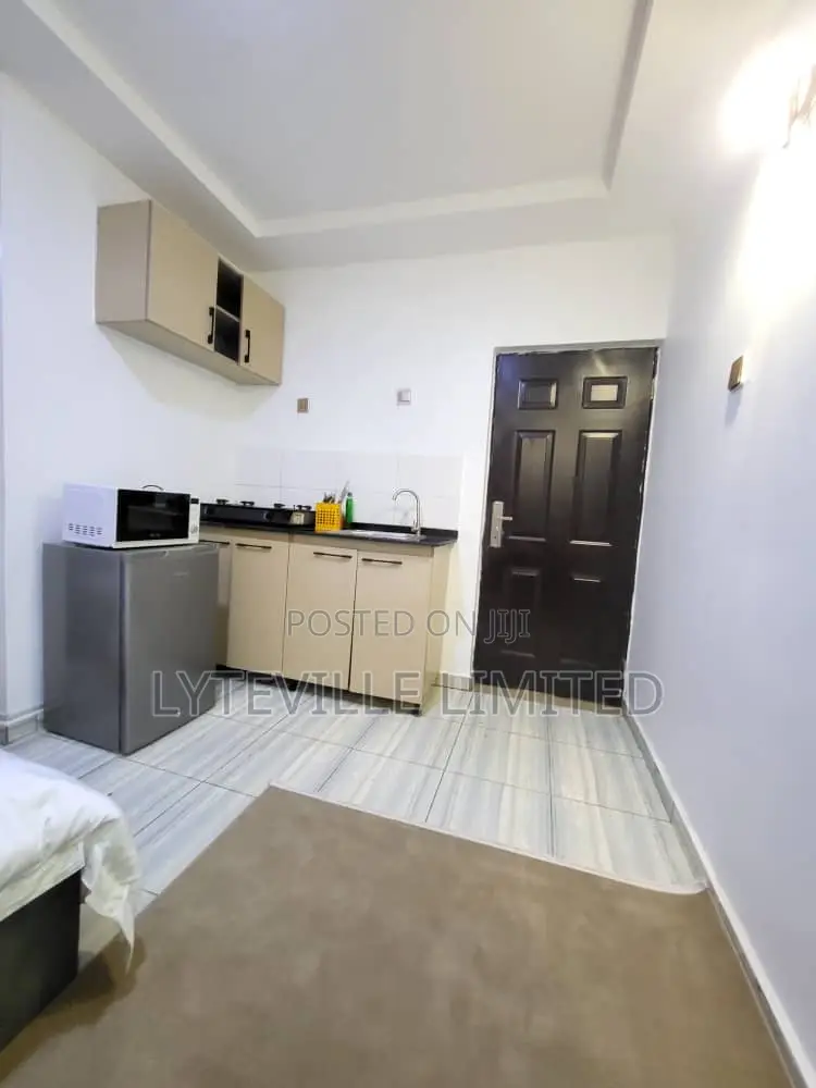 Neat Studio Apartment
