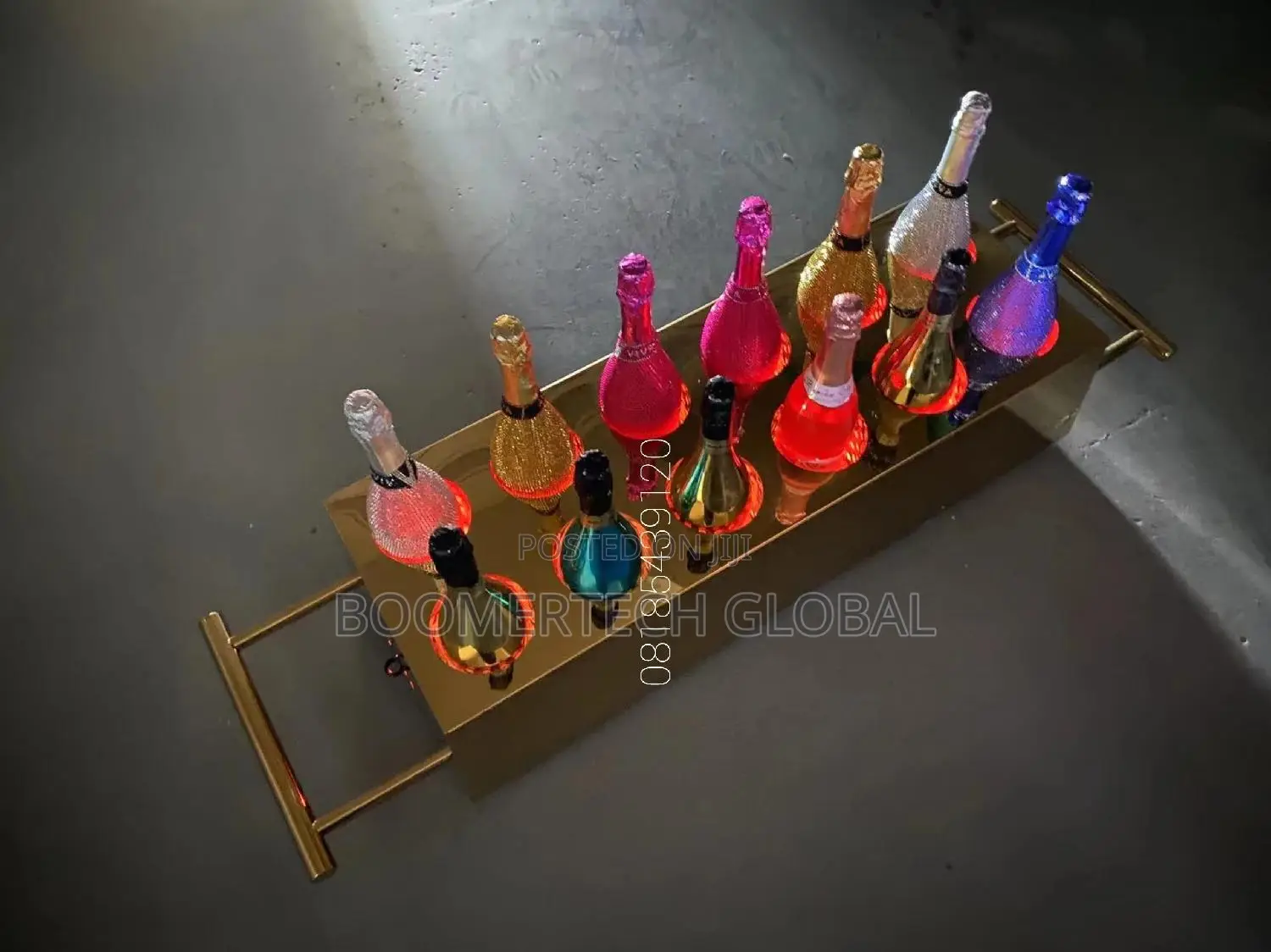 Golden Champagne Casket / Carrier / Light / Bucket