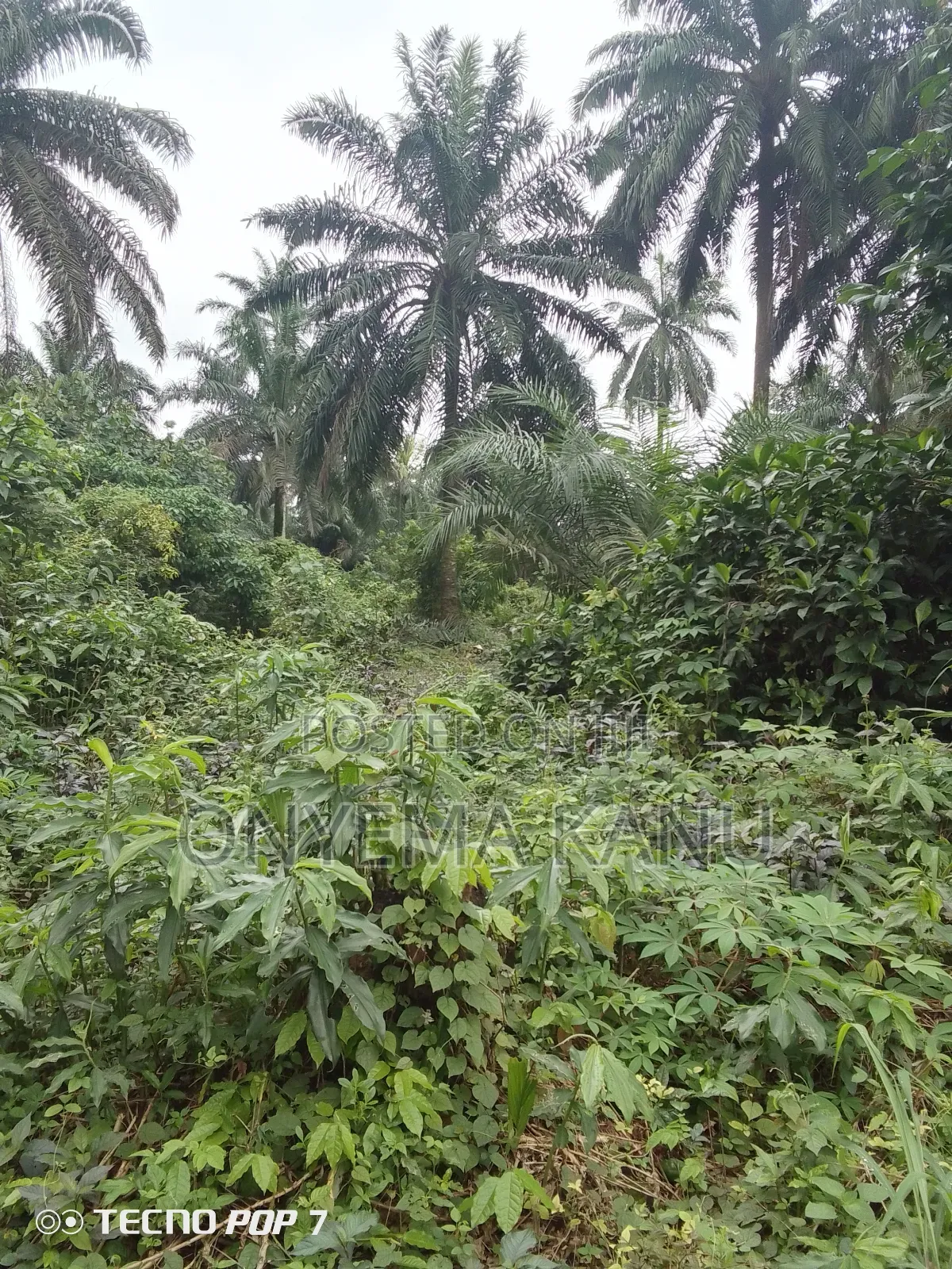 5 Affordable Plots for a Give Out