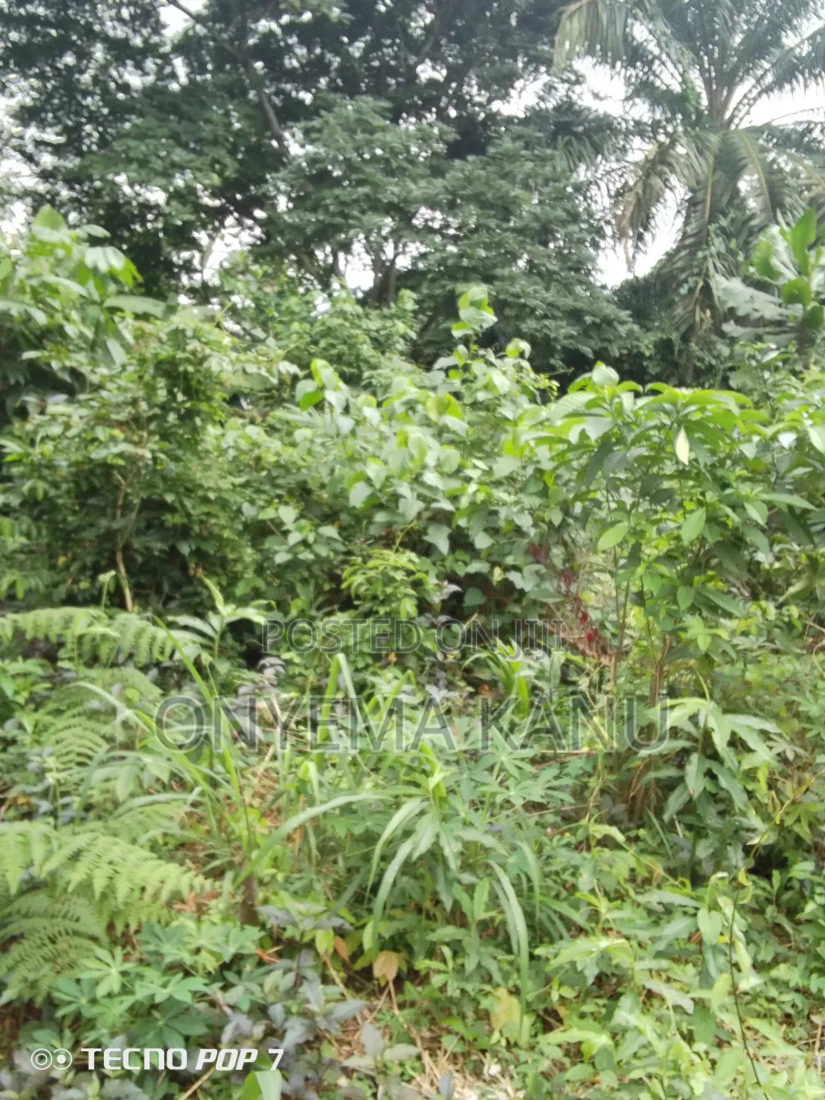 5 Affordable Plots for a Give Out