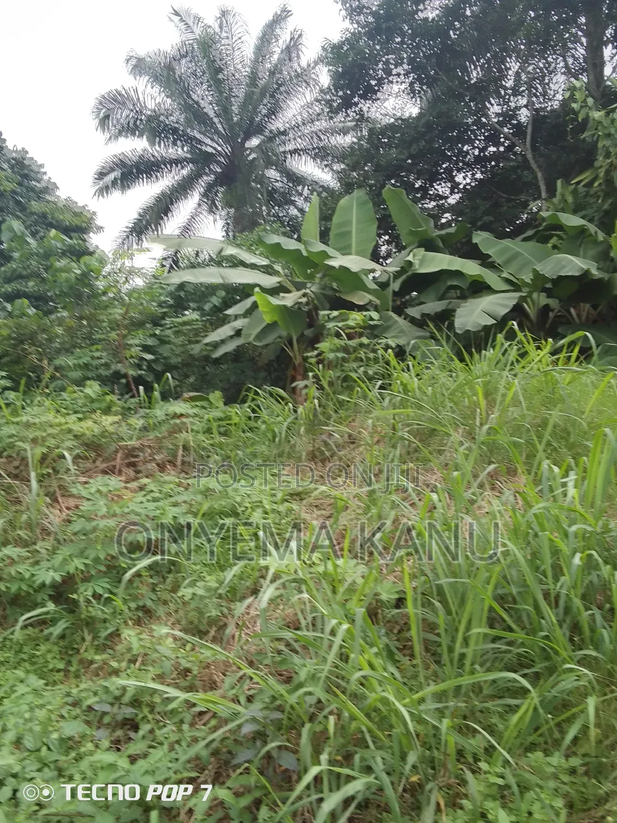 5 Affordable Plots for a Give Out