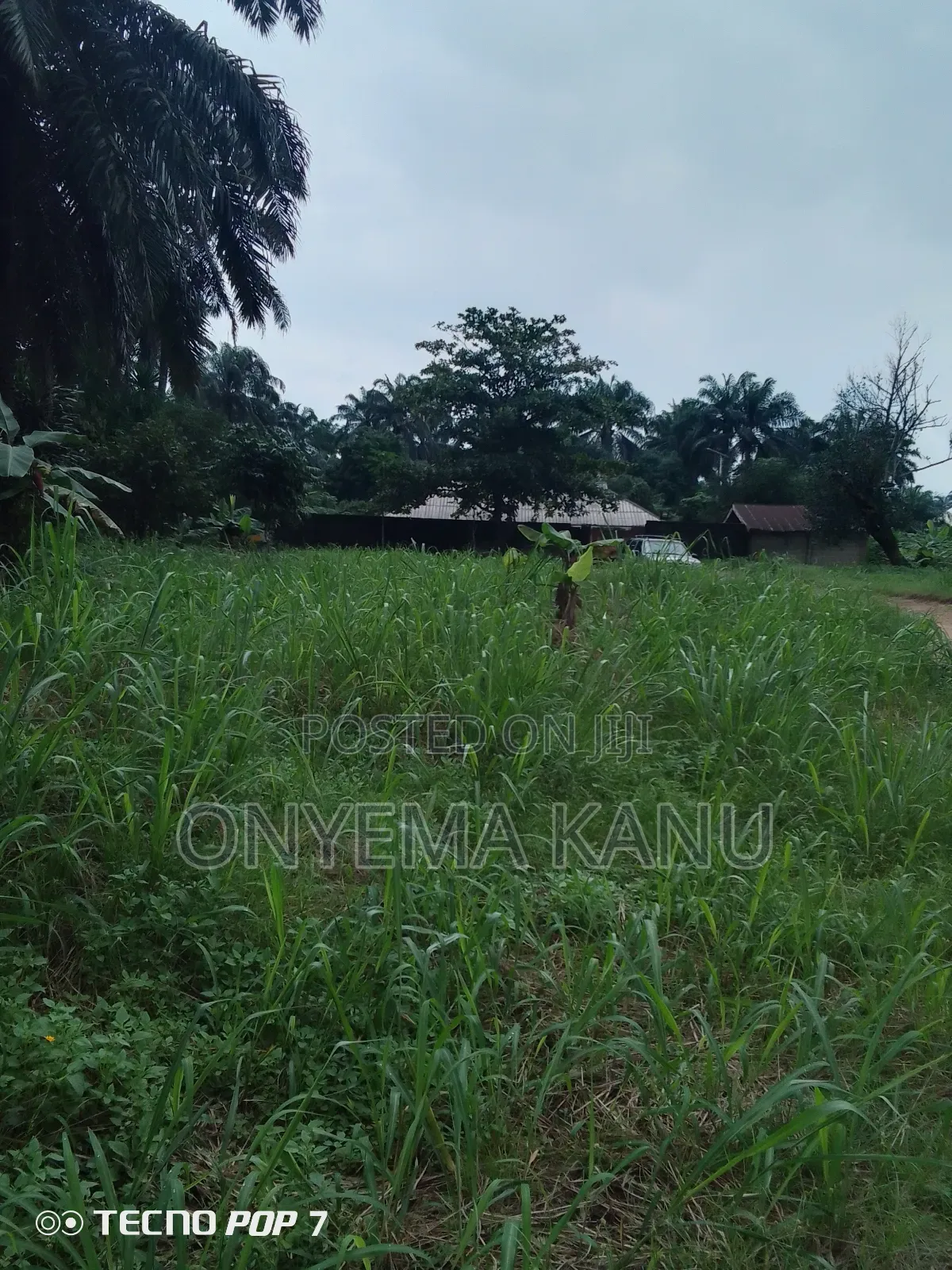 5 Affordable Plots for a Give Out