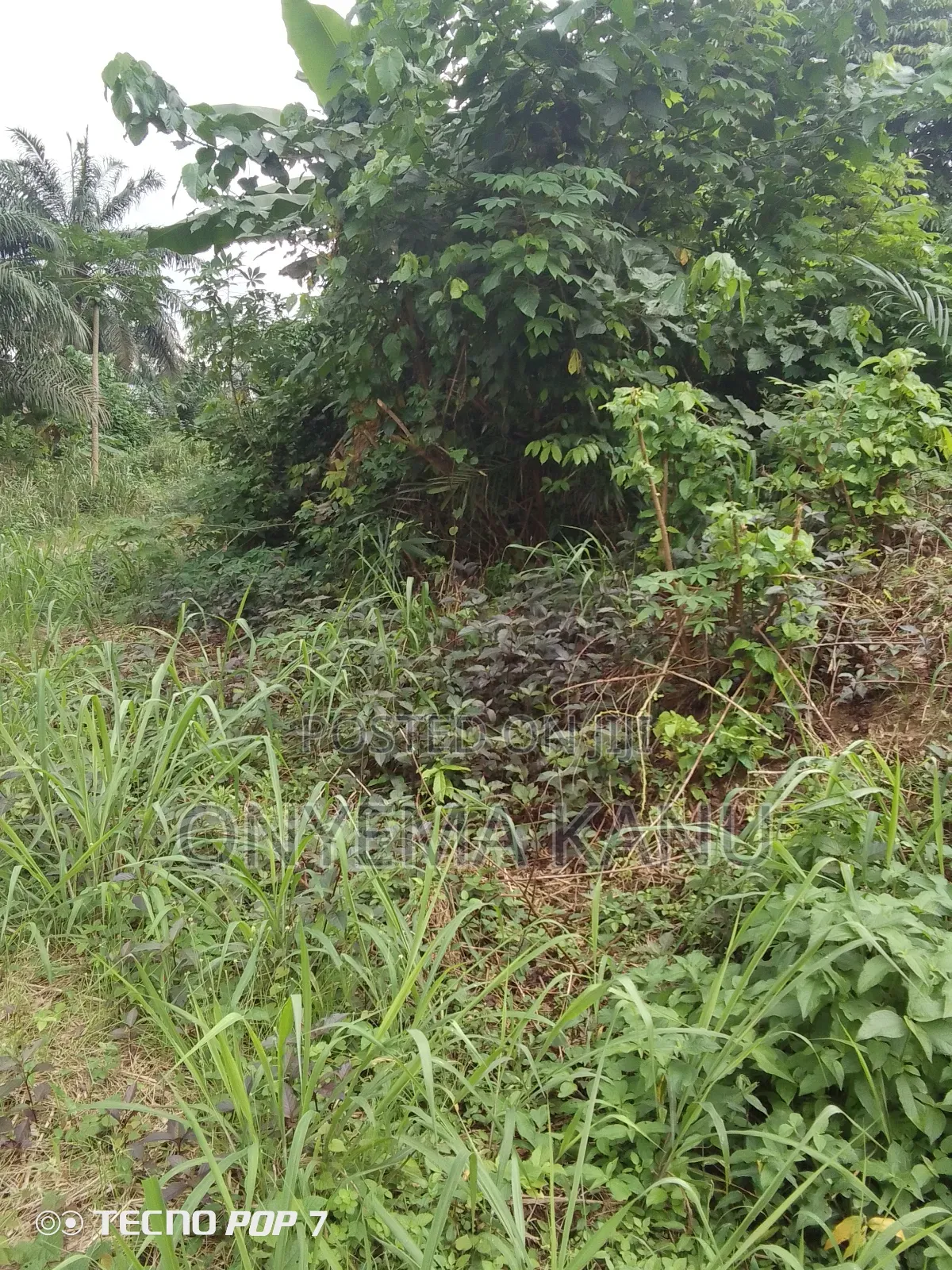5 Affordable Plots for a Give Out