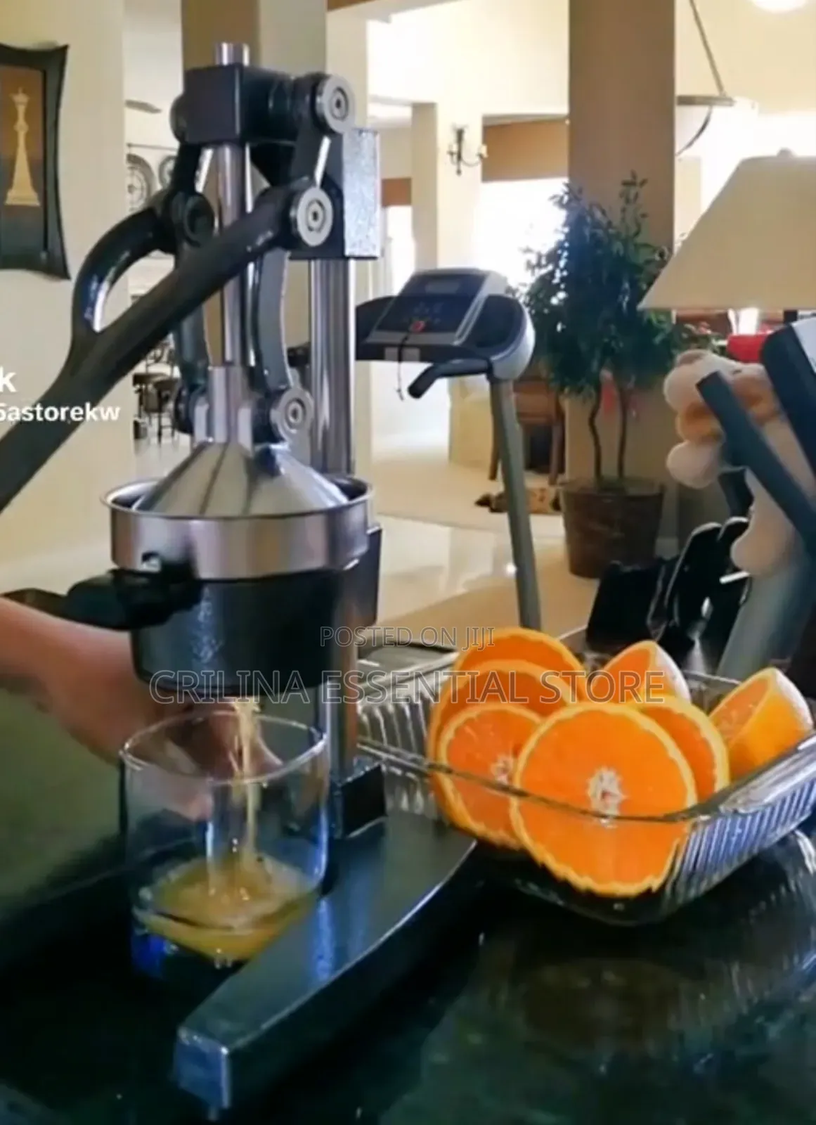 Big Manual Hand Juicer