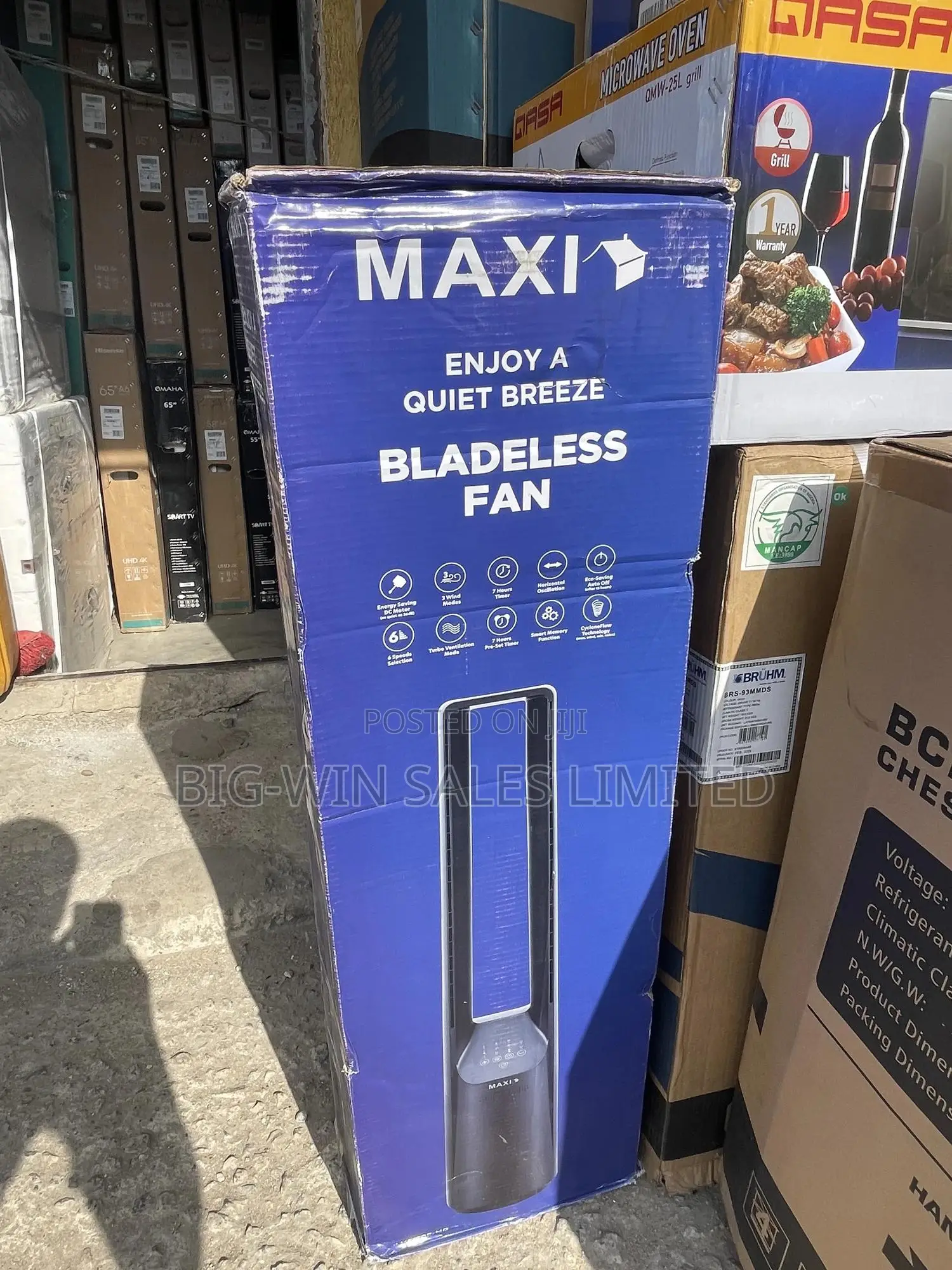 Maxi Bladeless Fan