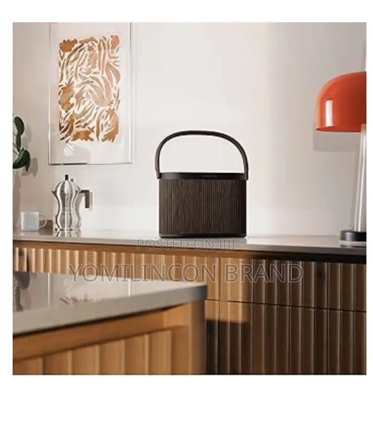 Bang Olufsen Beosound A5 - Portable Bluetooth Speaker.