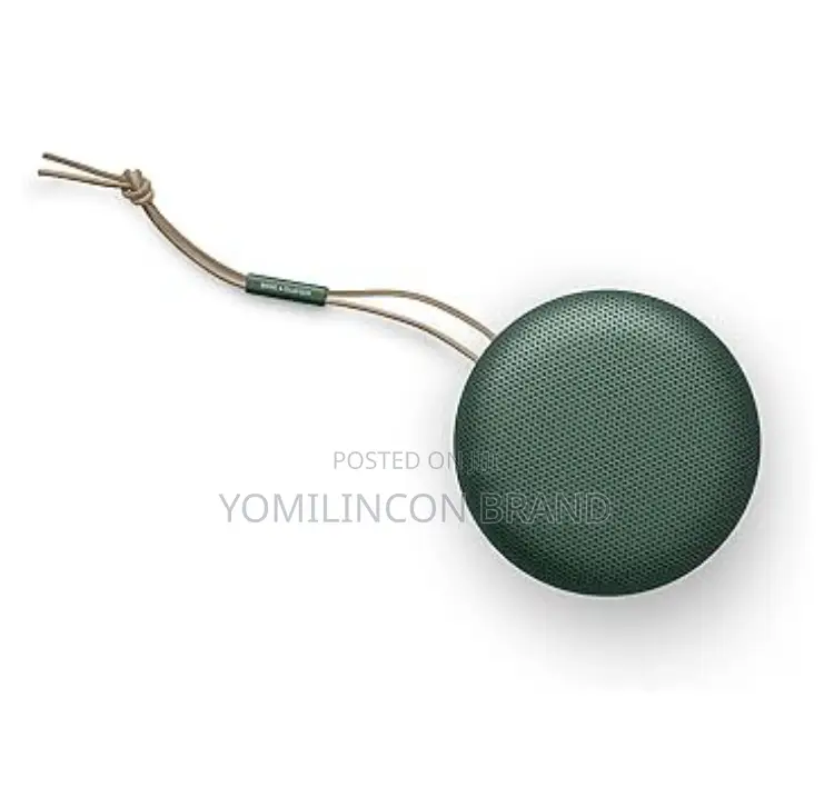 Bang & Olufsen Beosound A1 (2nd Generation)