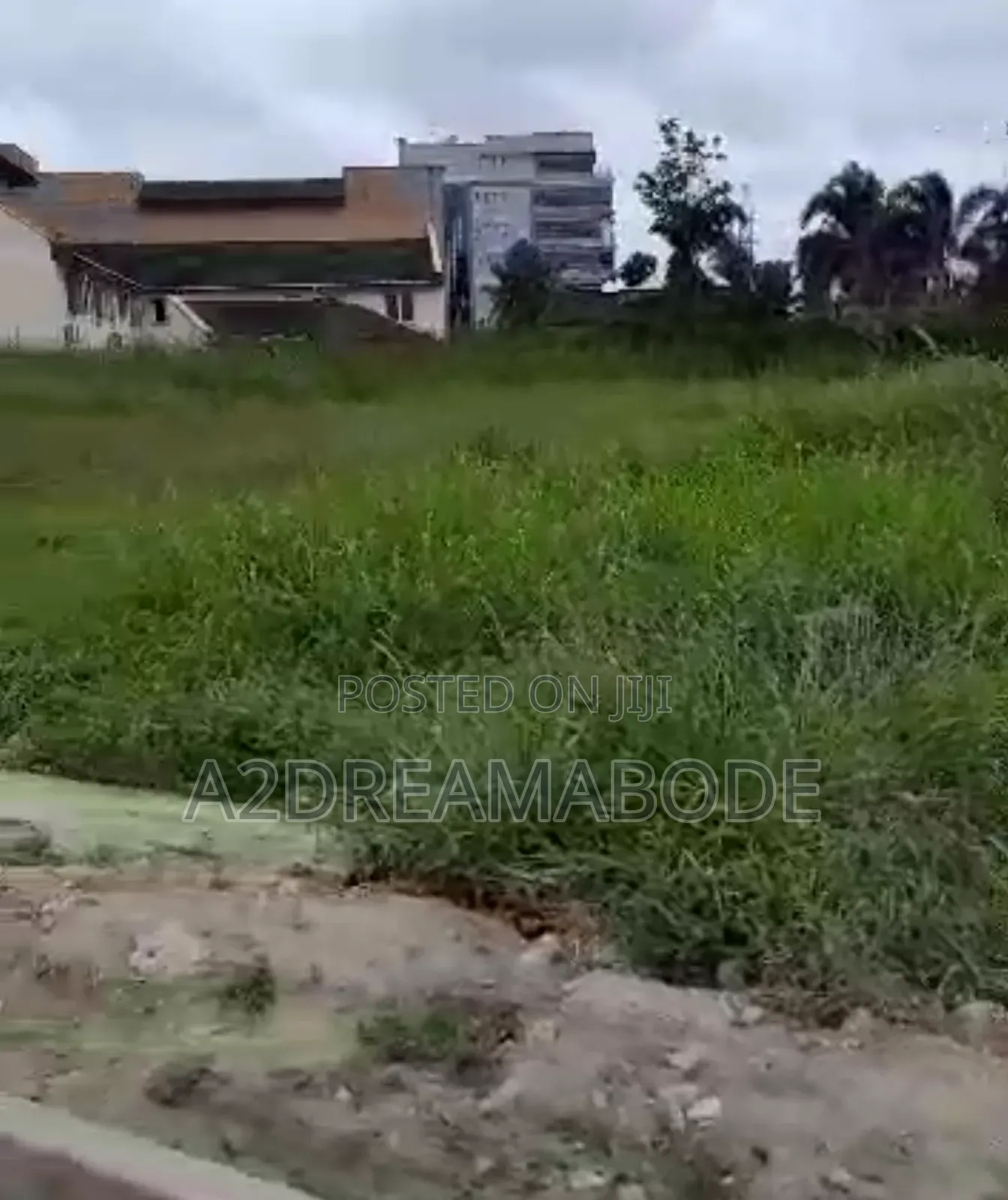 Executive Land With Potential
