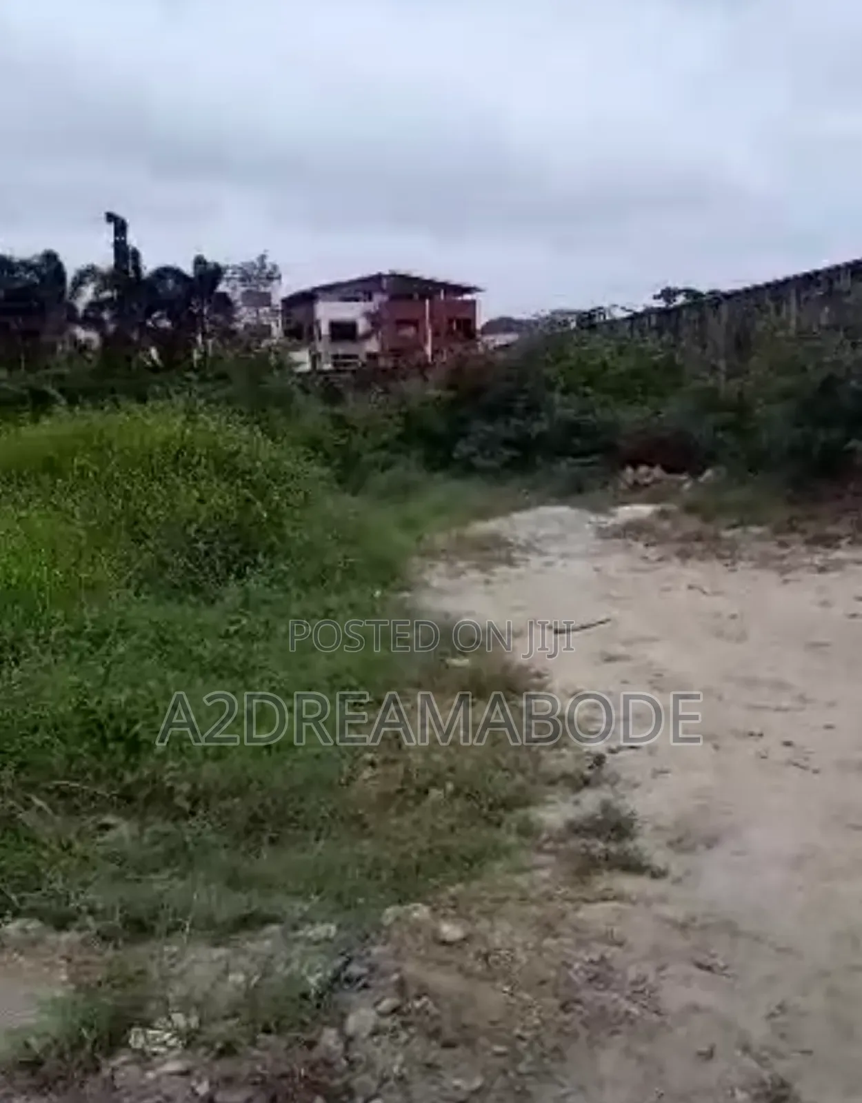 Executive Land With Potential