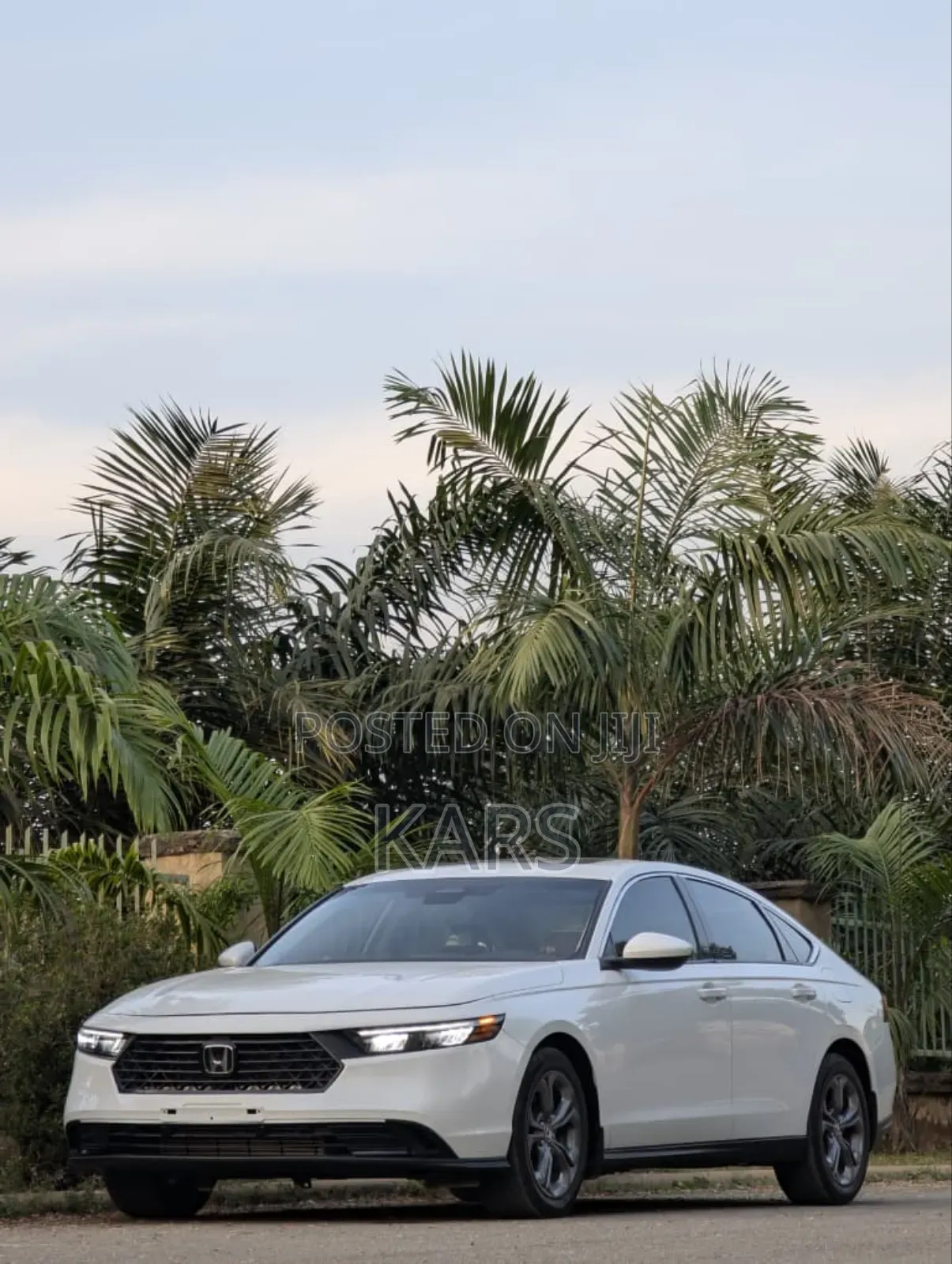 Honda Accord 2024 White