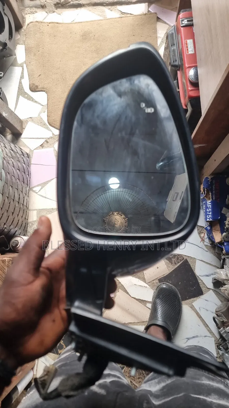Side Mirror.........
