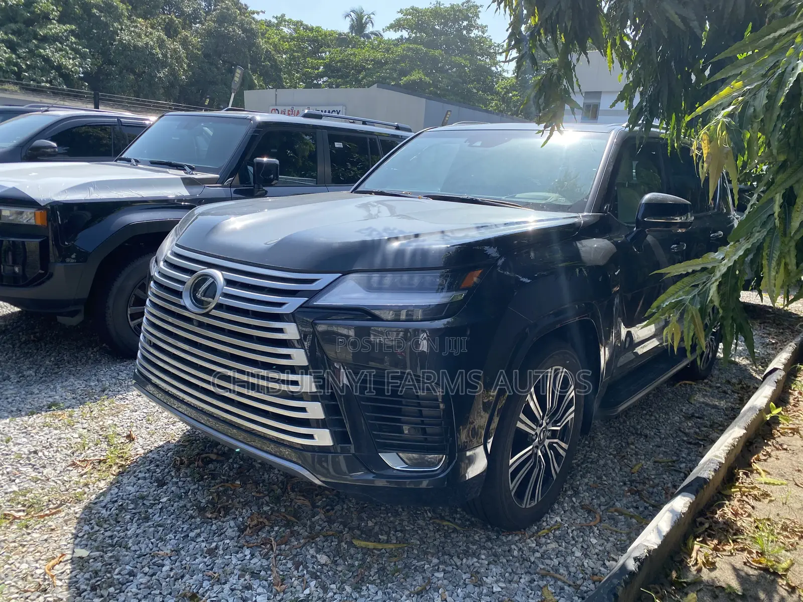 Lexus LX LX 600 2024 Gray