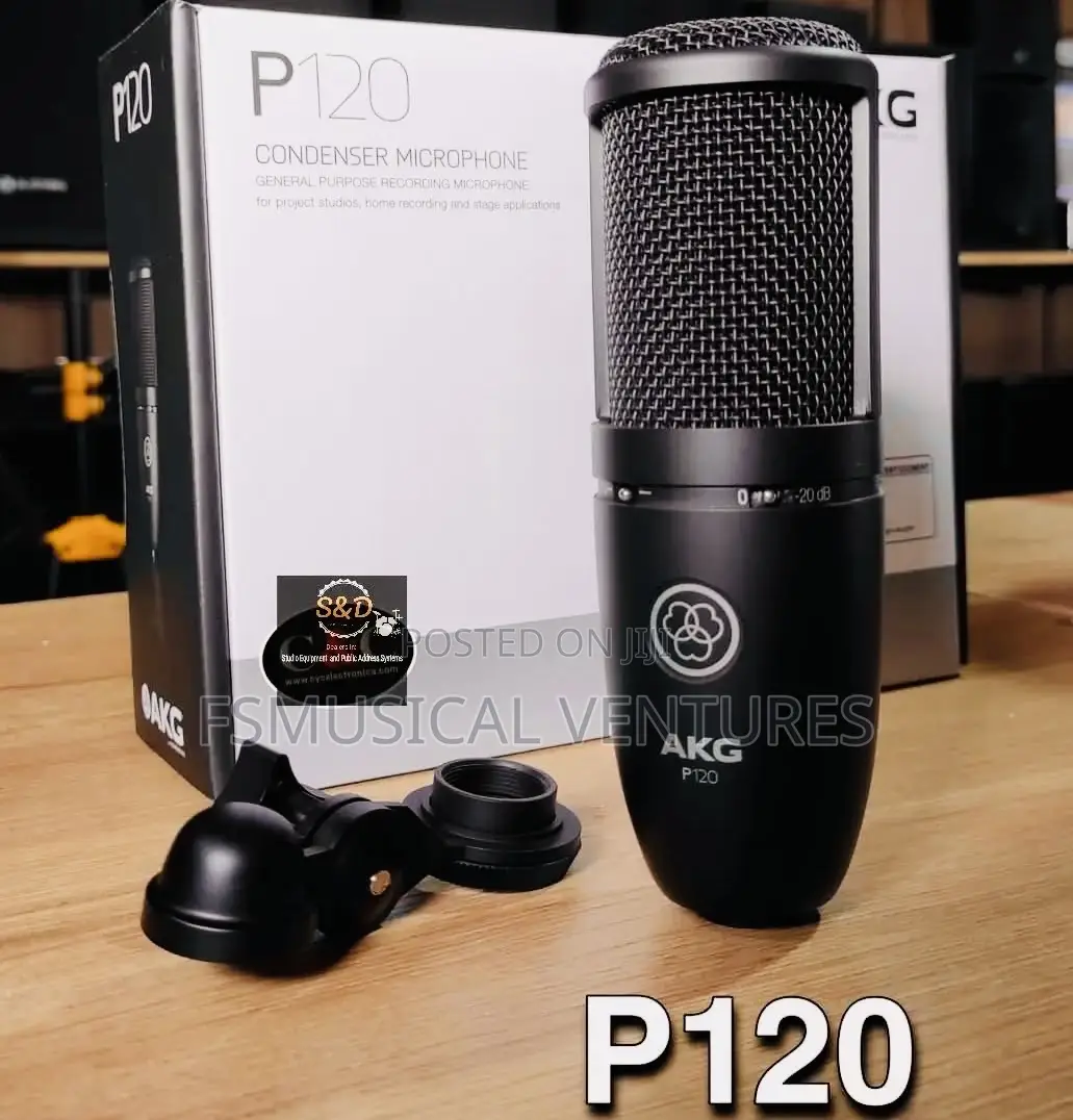 Akg P120 High-Performance General Purpose Recording Microphone