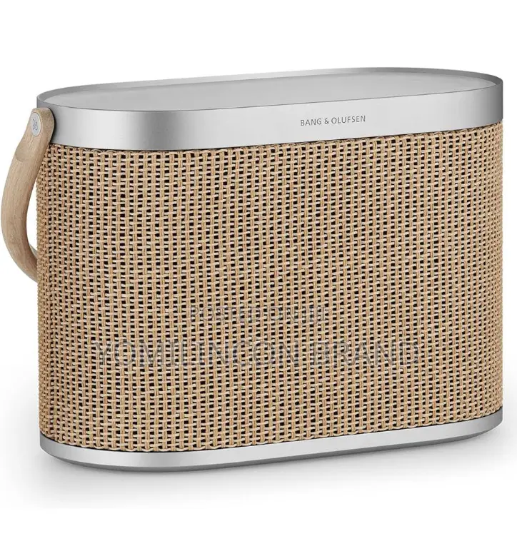 Bang Olufsen Beosound A5 - Portable Bluetooth Speaker.