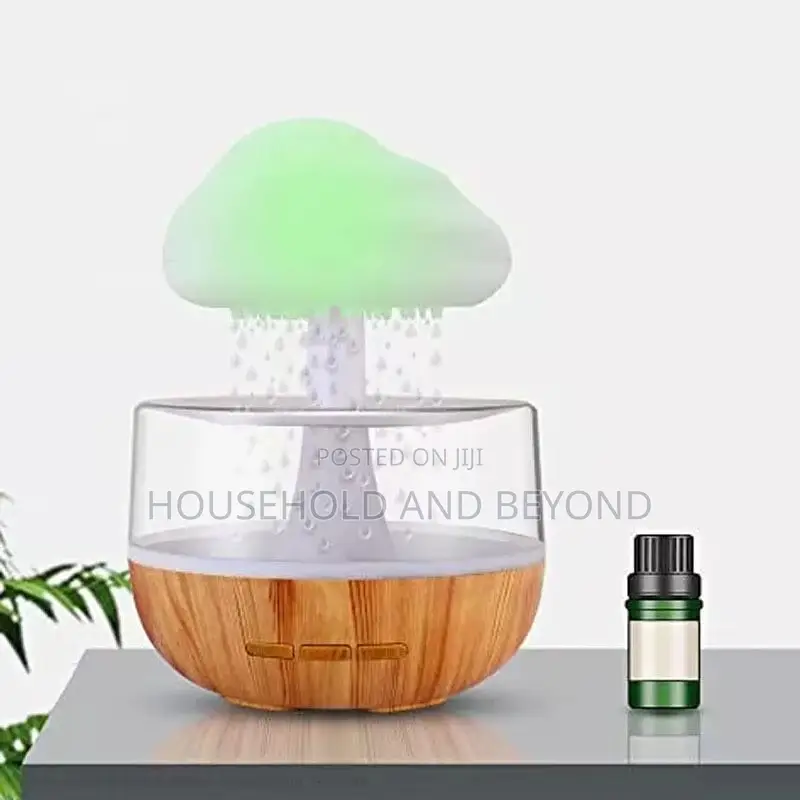 Cloud Rain Aromatherapy Humidifier Diffuser