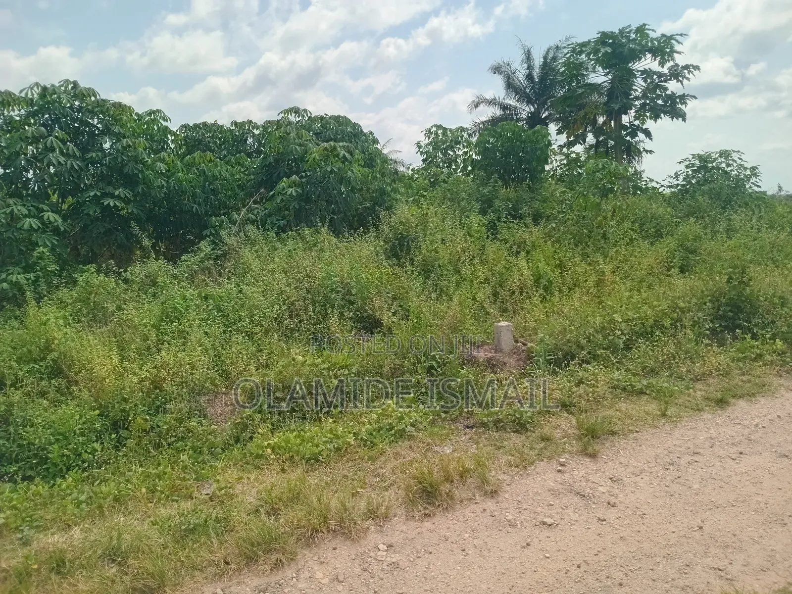 2.8m/Plot (4acre)