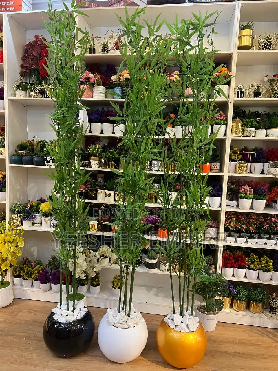 Ball Vase With Bamboo Plant